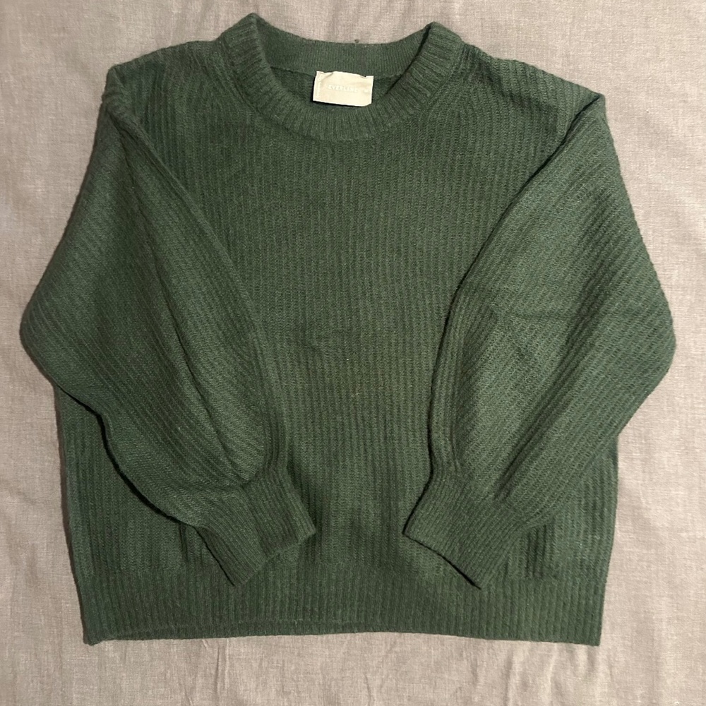 Everlane Cocoon Crew in Alpaca